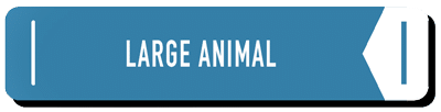 Large animals - learning center