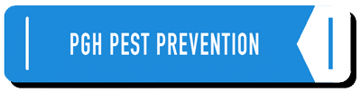 Pest prevention - learning center