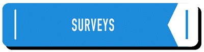 Surveys - learning center